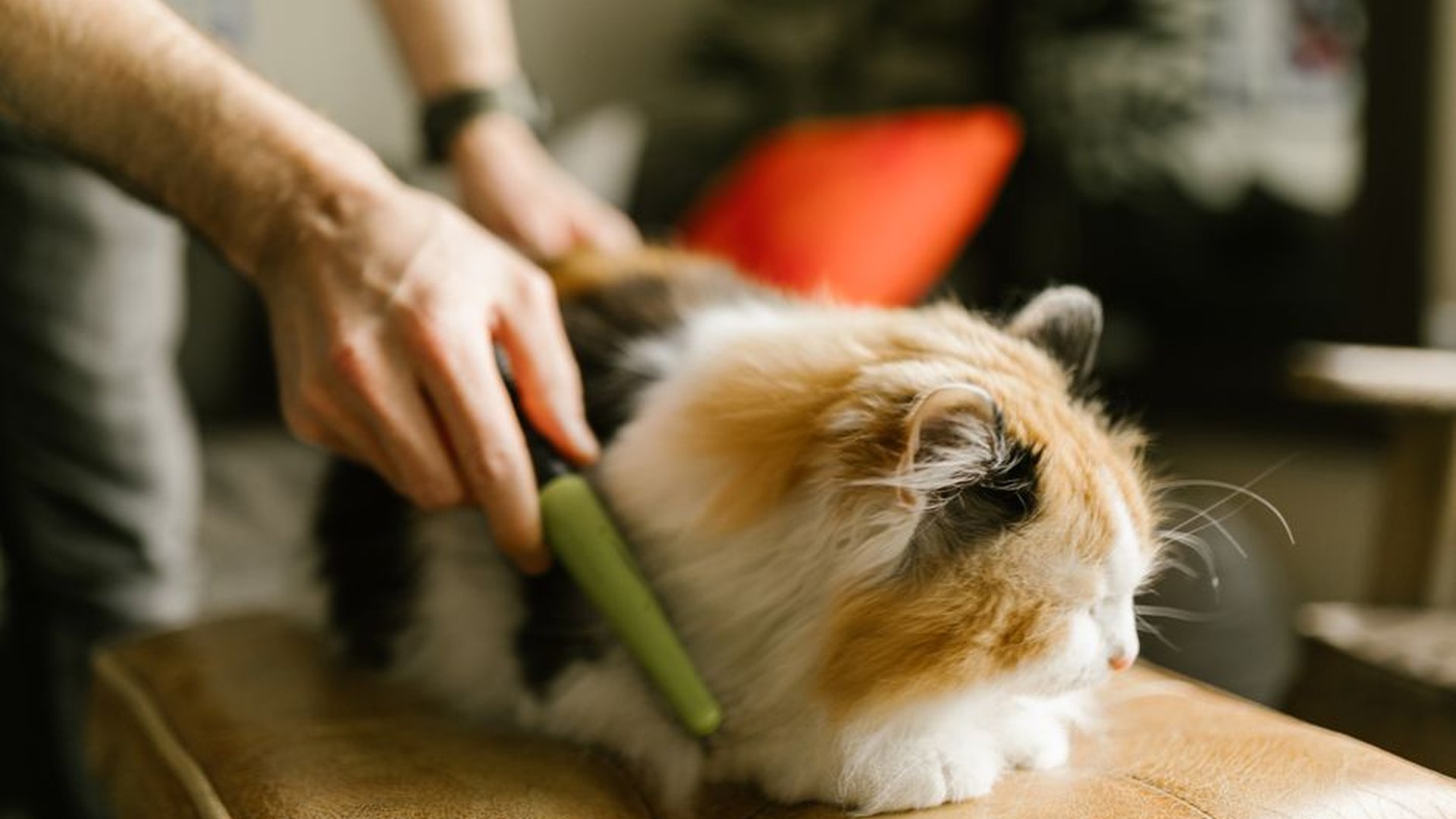 cat grooming brush slicker brush soft bristles met
