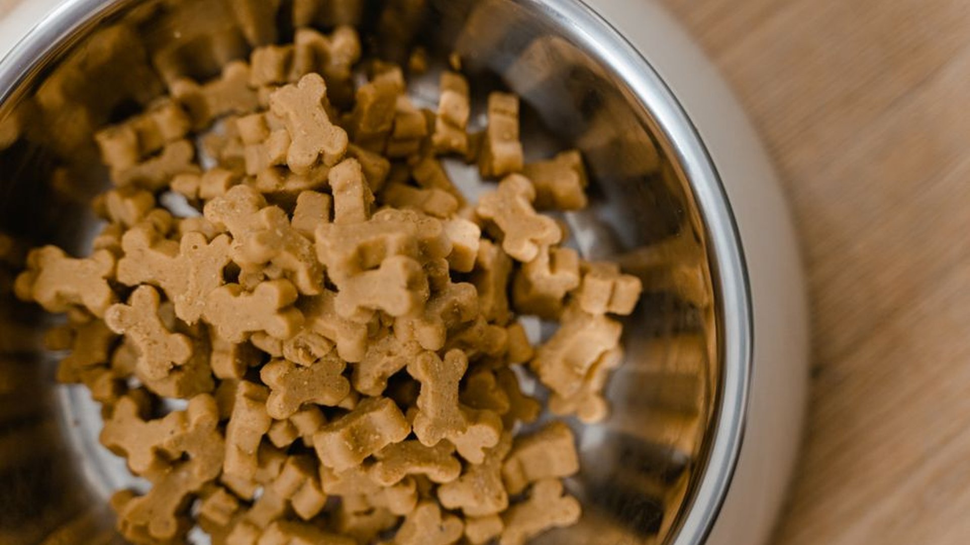freeze-dried chicken bits small dog treat crunchy