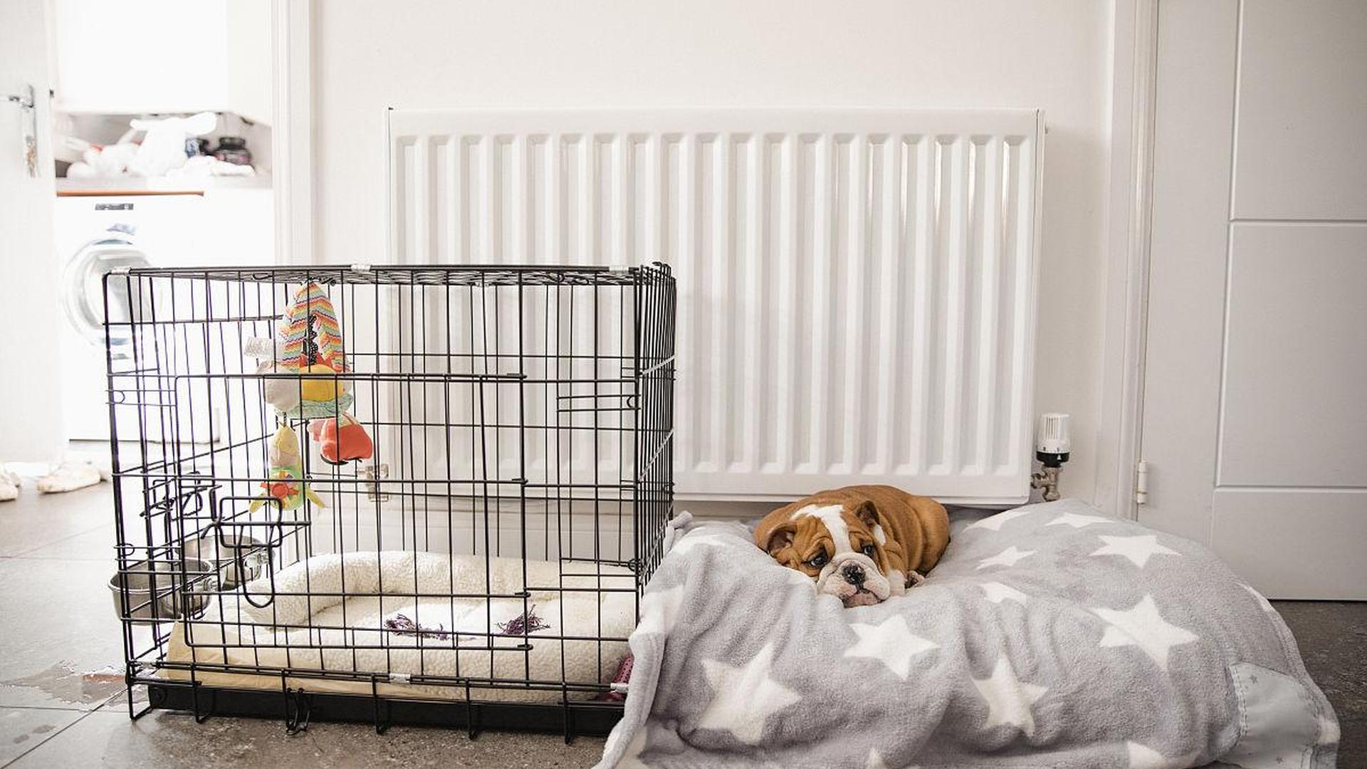 puppy crate cozy corner soft bedding safe space ca