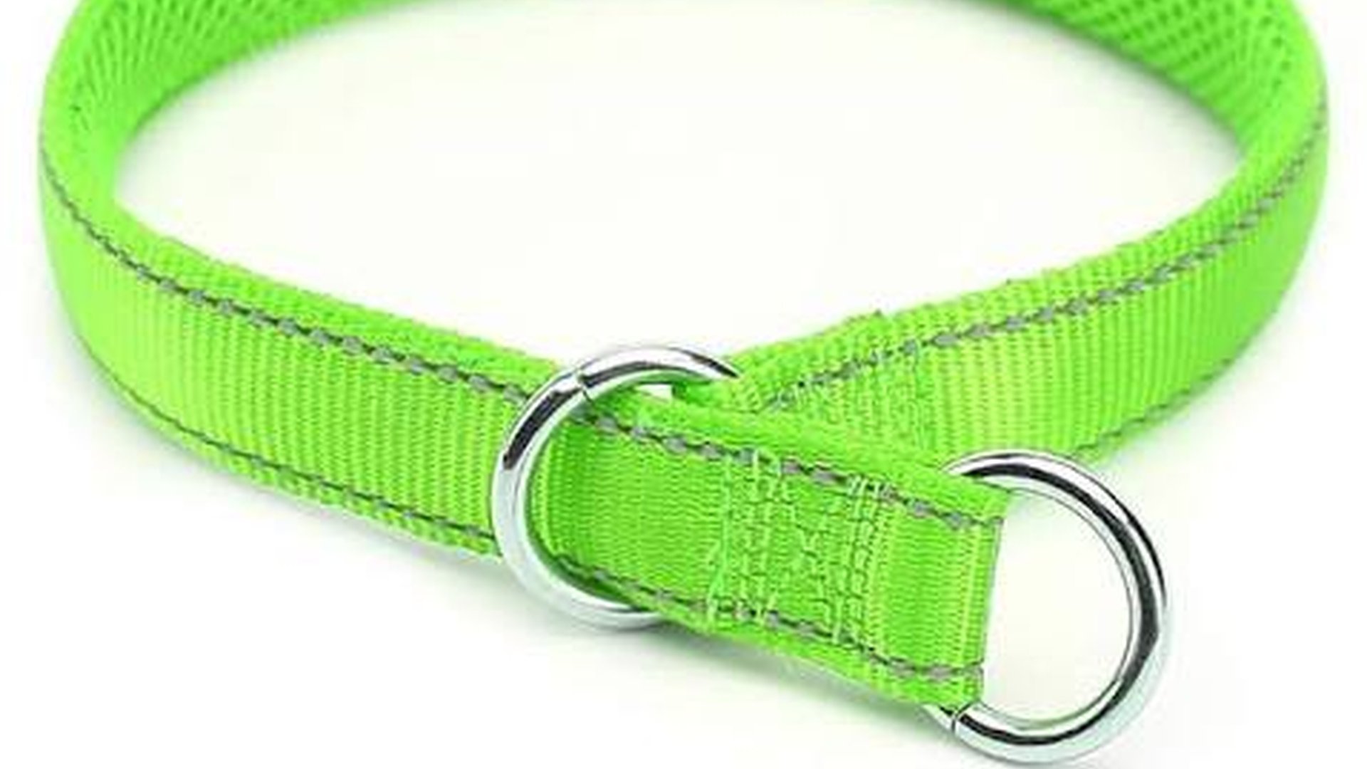 leash and collar puppy training flat nylon collar