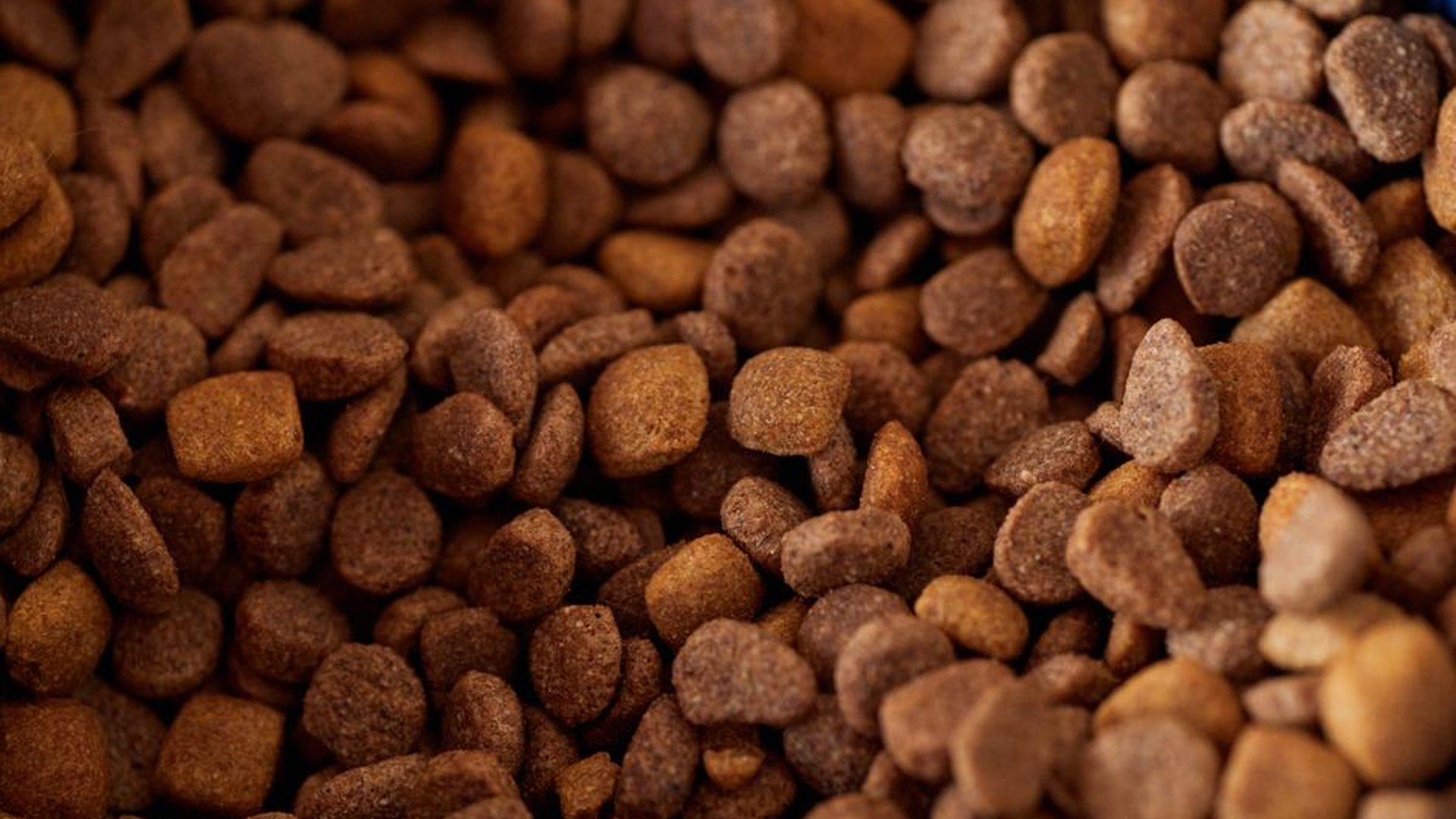 kitten food label protein content dry matter 30 to