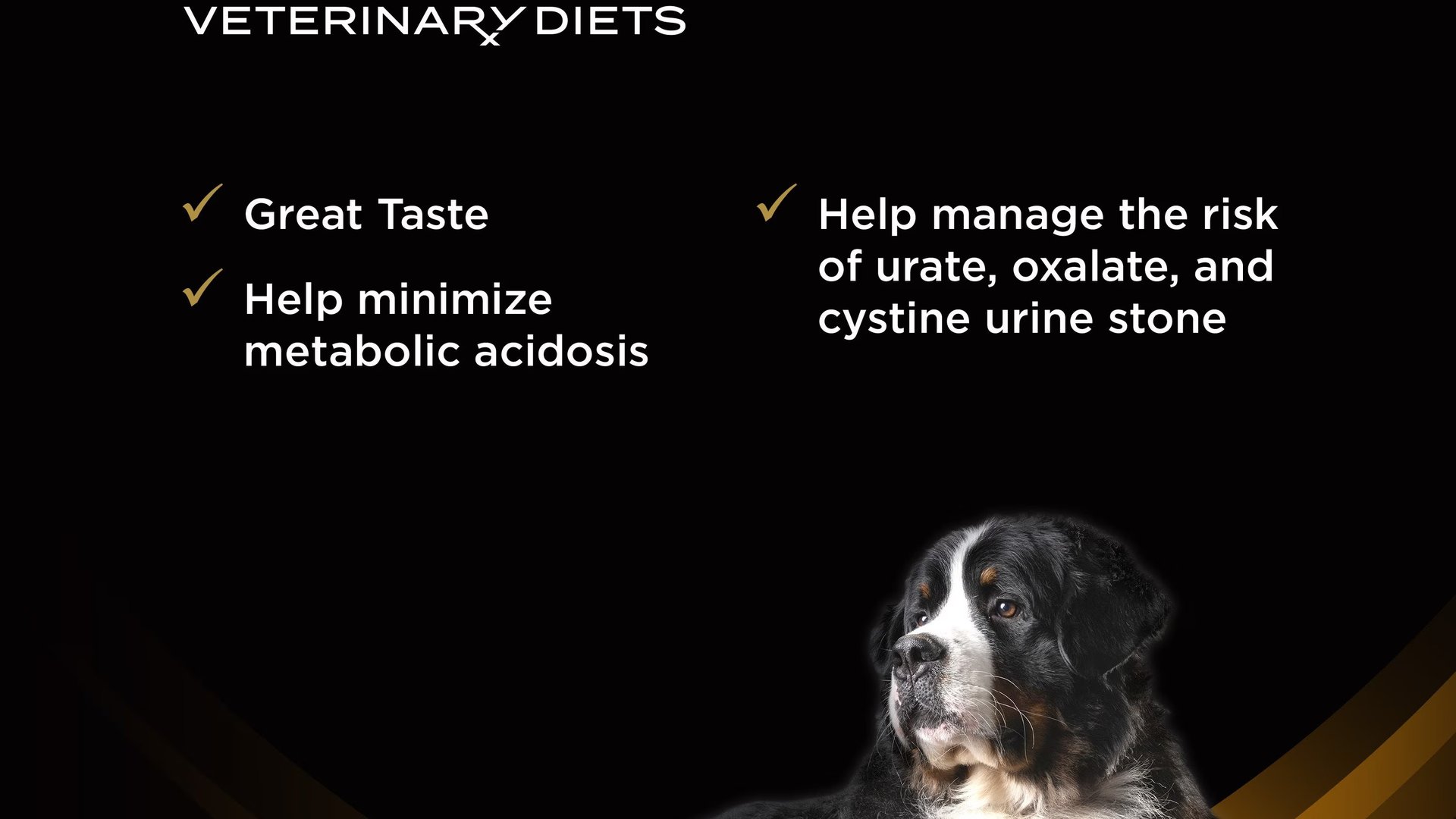 high quality dog food kidney support protein balan