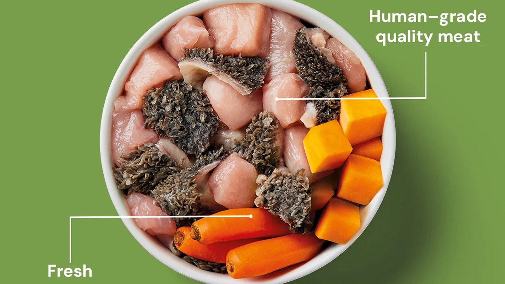 dog food label phosphorus content protein quality